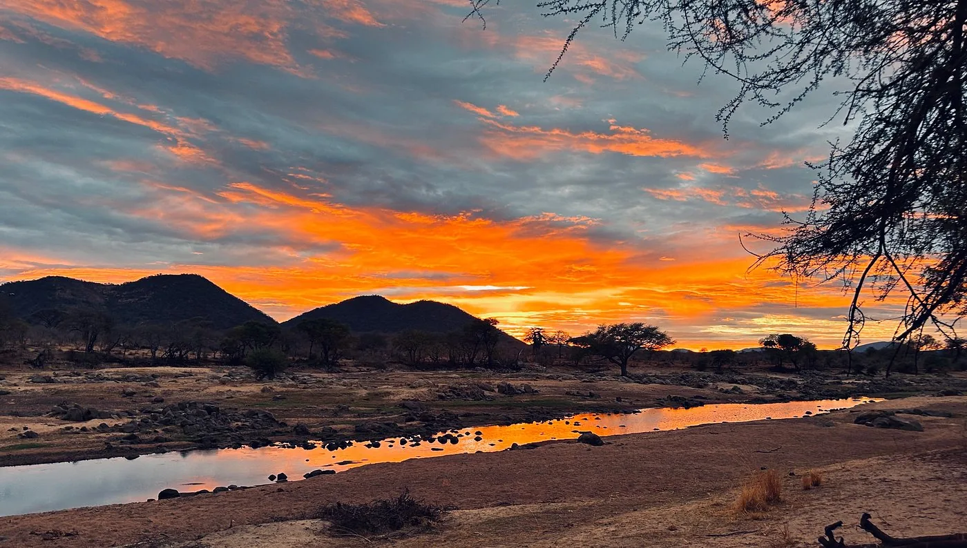 Ruaha National Park Day Trip from Iringa