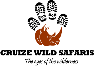 Cruize Wild Safaris logo