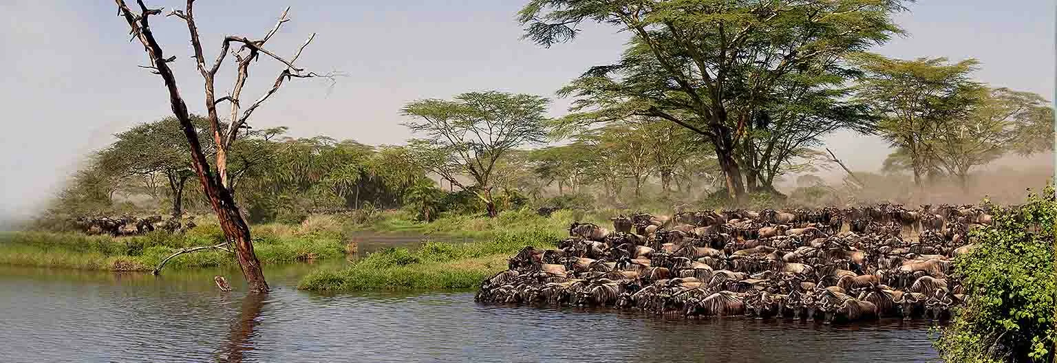 6-Day Northern Tanzania Safari
