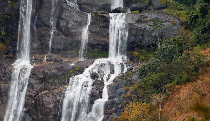 Udzungwa Mountains Day Hike