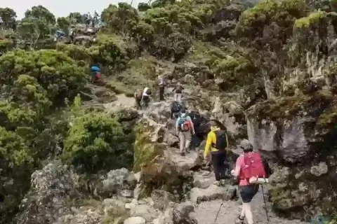 7-Day Machame Route Kilimanjaro