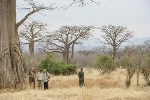Ruaha National Park